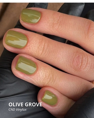 OLIVE GROOVE